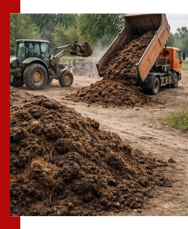 Доставка навоза самосвалами в Губкине для сельхозпотребностей